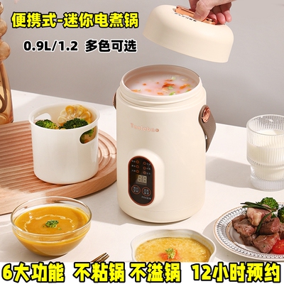 多功能迷你小电炖锅智能煮饭煮粥