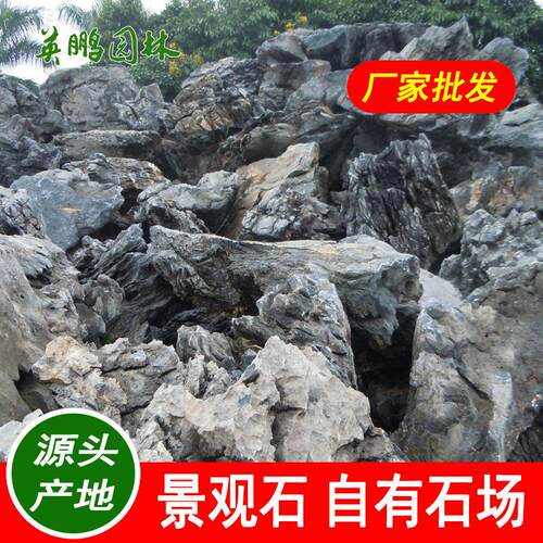园林造景英石假山石江门大型奇特英德石绿地点缀置石大英石厂