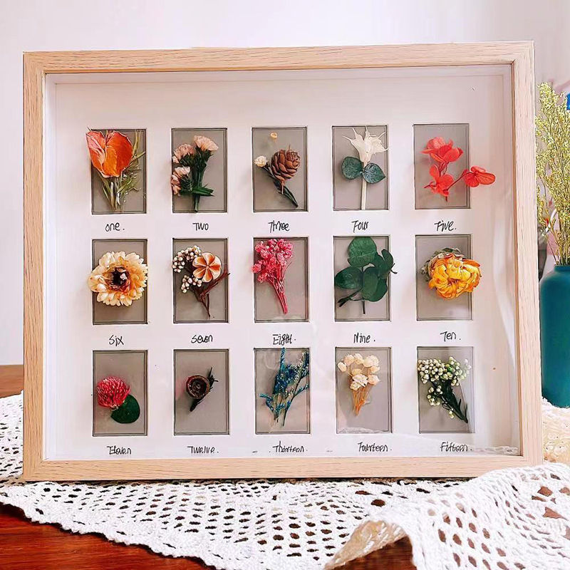 diy中空干花标本宫格相框昆虫贝壳粘土装裱饰1.5成长相册多孔收纳