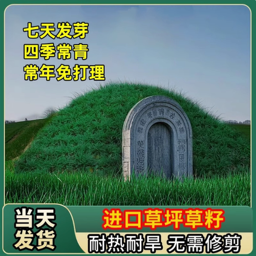 长镰草种子响铃籽墓地坪坟