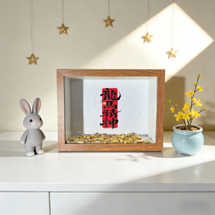 泡泡玛特点金奔腾系列小野盲盒展示盒星星人展示盒手办装饰造景