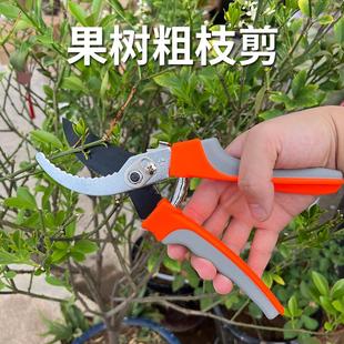 园艺园林工具 果树粗枝剪 花枝剪 多功能园林剪 修枝剪 防滑省力