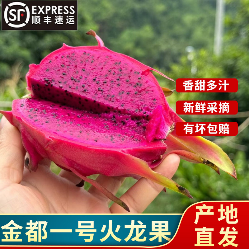 发顺丰正宗海南金都一号红心火龙果 现摘新鲜红肉火龙果香甜水果