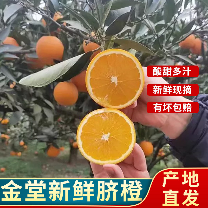 四川金堂新鲜脐橙 当季采摘水果手剥橙子果冻大脐橙甜橙 橙香浓郁,水产肉类/新鲜蔬果/熟食,橙,淘宝优惠券,粉丝福利购,淘宝优惠卷