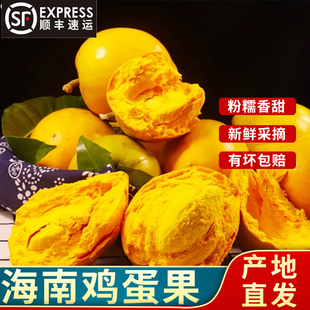 顺丰到家海南新鲜鸡蛋果  应季热带水果蛋黄果 粉糯仙桃鸡蛋果
