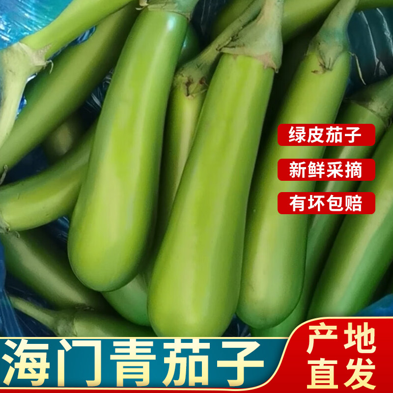 正宗海门青茄子 新鲜采摘绿皮崇明长茄子农家青皮茄子产地直发
