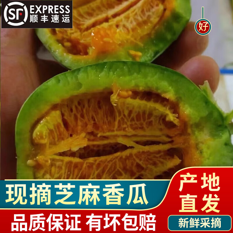 顺丰到家 陕北头茬芝麻蜜香瓜新鲜产地现摘榆林脆甜瓜芝麻小瓜