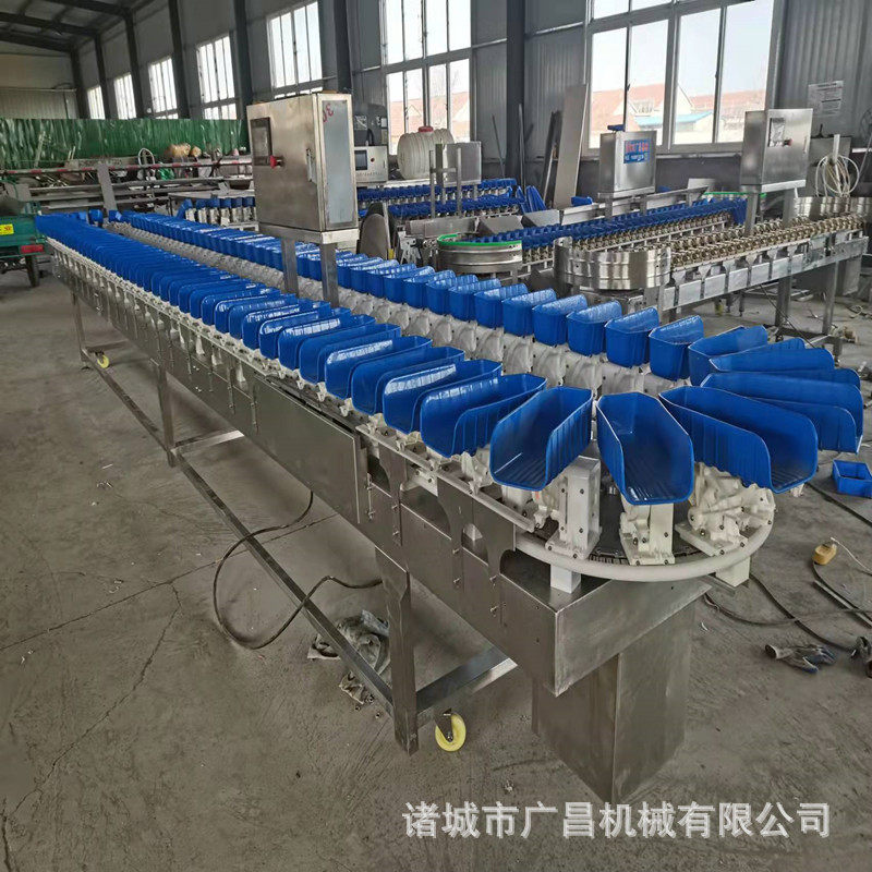 重量分选机 鱼类白条鸡乳鸽猪蹄料盒式分级机 自动分选