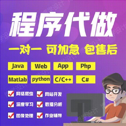 计算机Python做编程Java代码编写R语言数据分析C++算法js系统设计