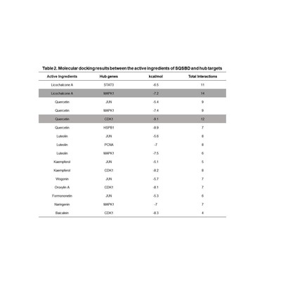 小分子药物与大分子蛋白分子对接，对接结果3D及2D图制作，以及最