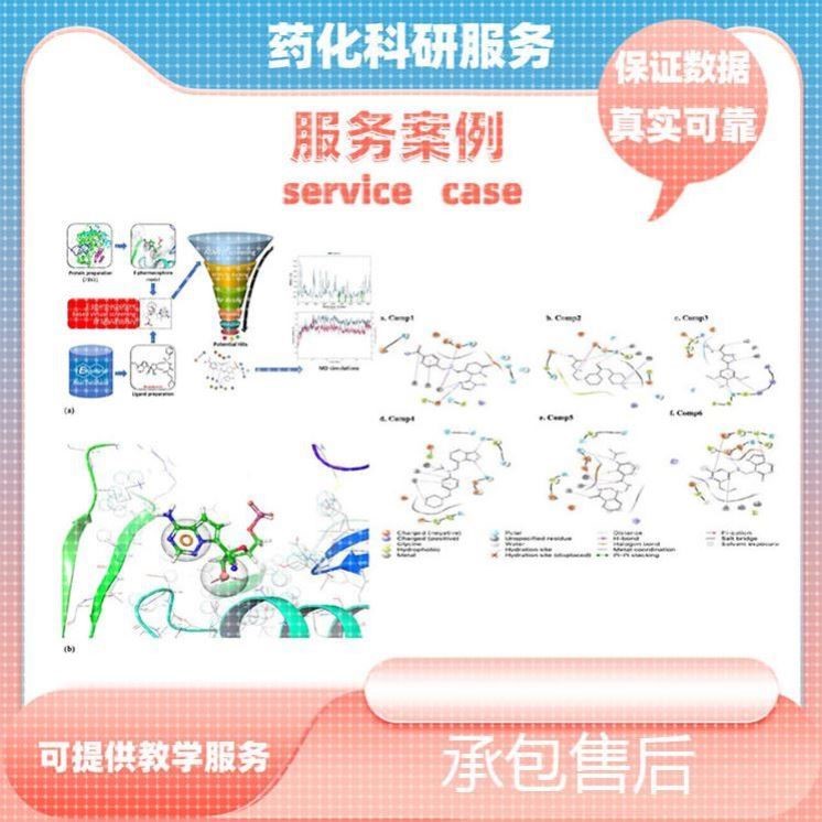 分子对接服务，网络药理学服务，可以教学