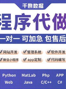python代编程序C++语言matlab深度学习PHP代码编写定制代写javaC#