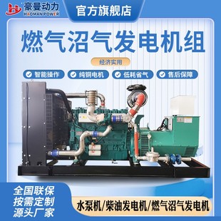 250KW沼气发电机300kw 600kw800KVA1000千瓦天燃气发电机组 500kw