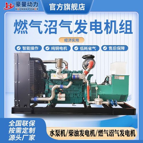250KW沼气发电机300kw 500kw 600kw800KVA1000千瓦天燃气发电机组