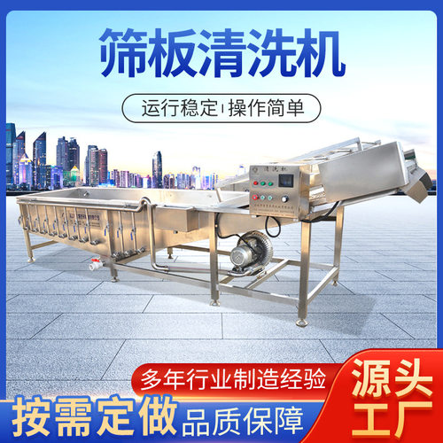 厂家供应蔬菜气泡清洗机 筛板清洗机 果蔬清洗加工设备生产线定