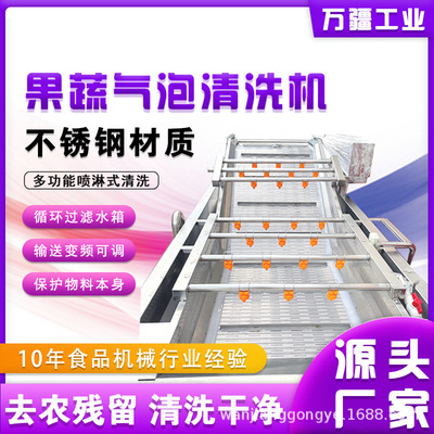 商用圣女果气泡清洗机 红枣板栗清洗机器 果蔬深加工前处理流水线