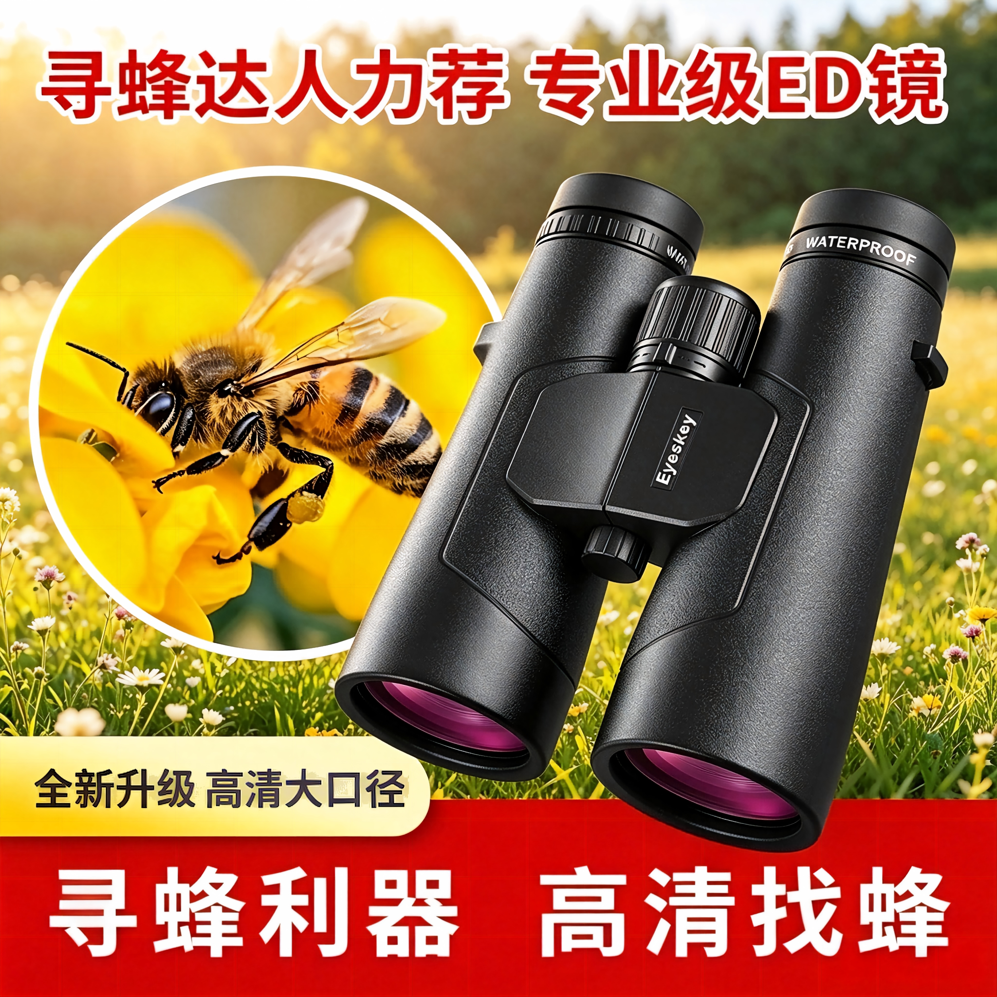 艾斯基双筒望远镜捕手系列专业找马蜂ED镜防水微光夜视高倍高清