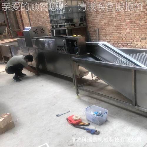 洗NHU蛋机  适用鸡蛋 鸭 鹌鹑蛋 鹅蛋 脏清机去除蛋品蛋洗表面泥