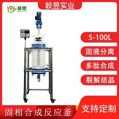 岐昱实验设备固液分离反应器多肽合成过滤结晶双层玻璃固相反应釜