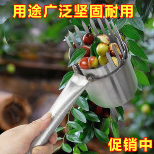 摘杨梅采摘山枣枇杷工具大小通用摘酸枣神器采果工具新款摘小果子