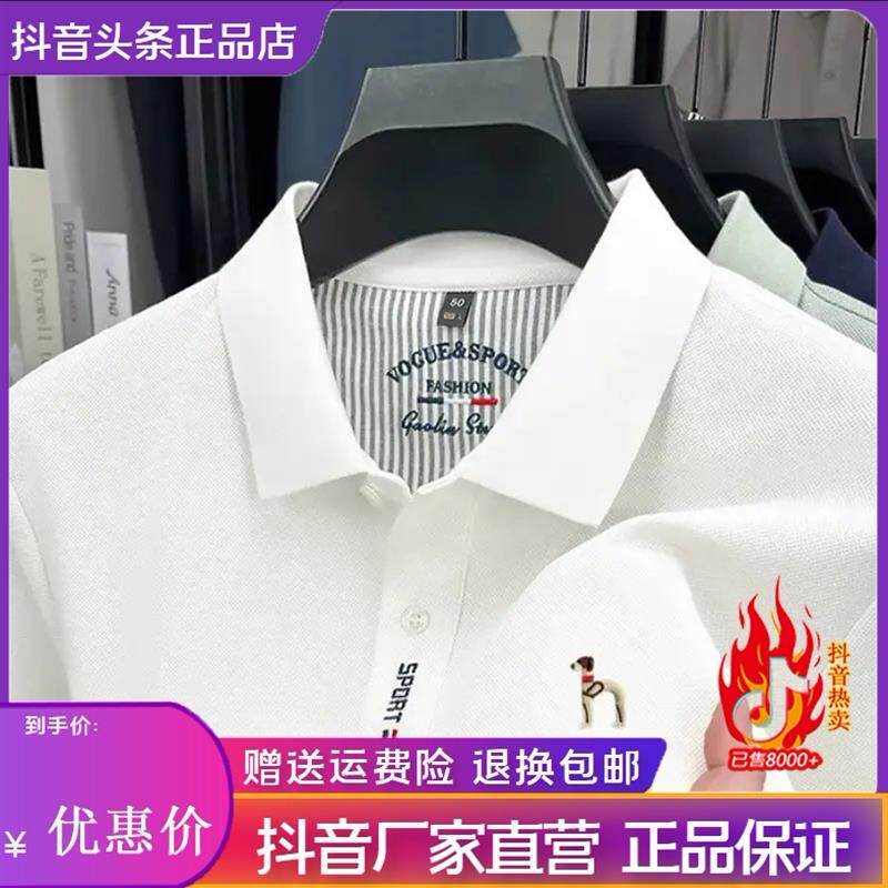 澜阙服饰Amphelisia专柜品质夏季短袖T恤上衣男士纯棉翻领polo衫