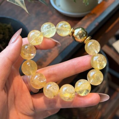 As·光影系列【小金山】高品黄胶花