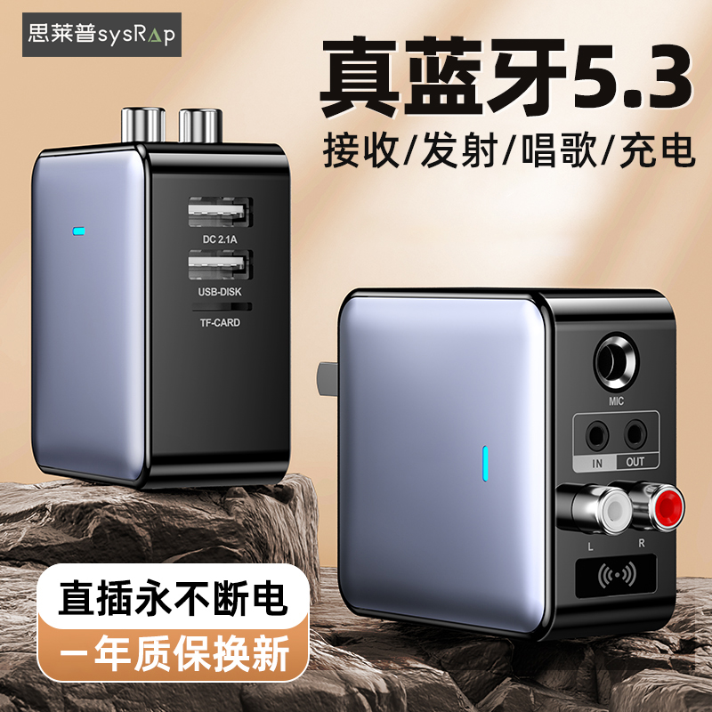 利乐普5.3蓝牙适配器外接老音响功放专用话筒K歌TF卡播放带遥控
