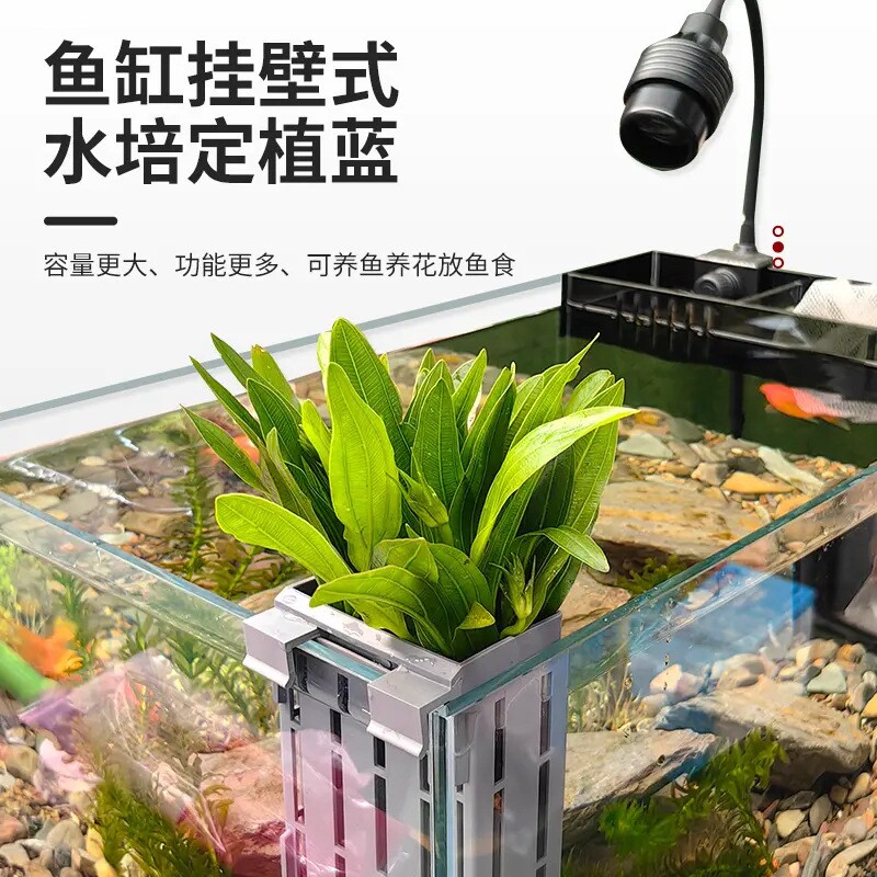 鱼缸水培挂篮绿植红薯篮水培定植篮造景装饰配件古法鱼缸水培挂篮图片