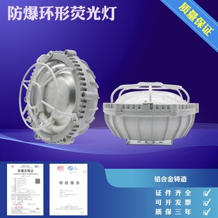 H22 BAY53 吸顶灯环形灯LED12W吸顶灯 含光源 防爆环形荧光灯