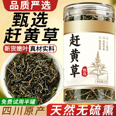 古蔺赶黄草正品中药材可泡茶喝转氨酶益肝茶四川赶黄草茶搭赶黄花