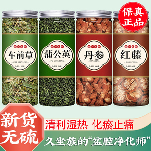 车前草蒲公英丹参红藤茶野生干货官方旗舰店中药材正品纯特级新鲜