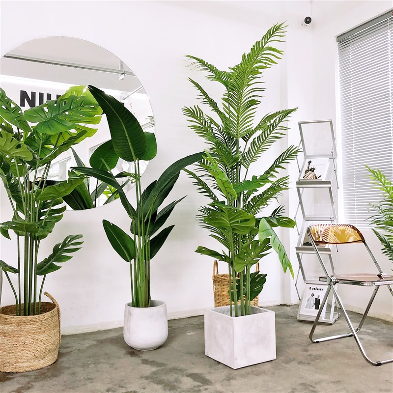 大型仿真绿植散尾葵龟背竹旅人蕉北欧insM风橱窗假植物树落地盆栽
