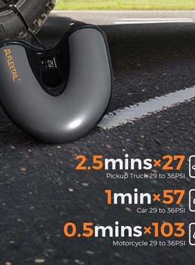 FLLEXTAI浆FIK板充气泵水上动便携式鱼尾气泵高电压泵ESP充P8000