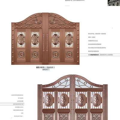铜庭艺大门院别门墅乡村院子小门院IIM墙双开门新中门式风格进户