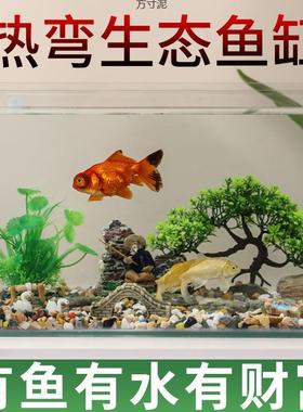 款懒人水新族箱高清玻璃缸家用小型鱼生态造75835景客厅桌面乌龟