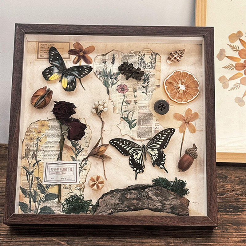 《蝶序生花》复古干花标本客厅摆件装饰画森系治愈沙发背景墙挂画