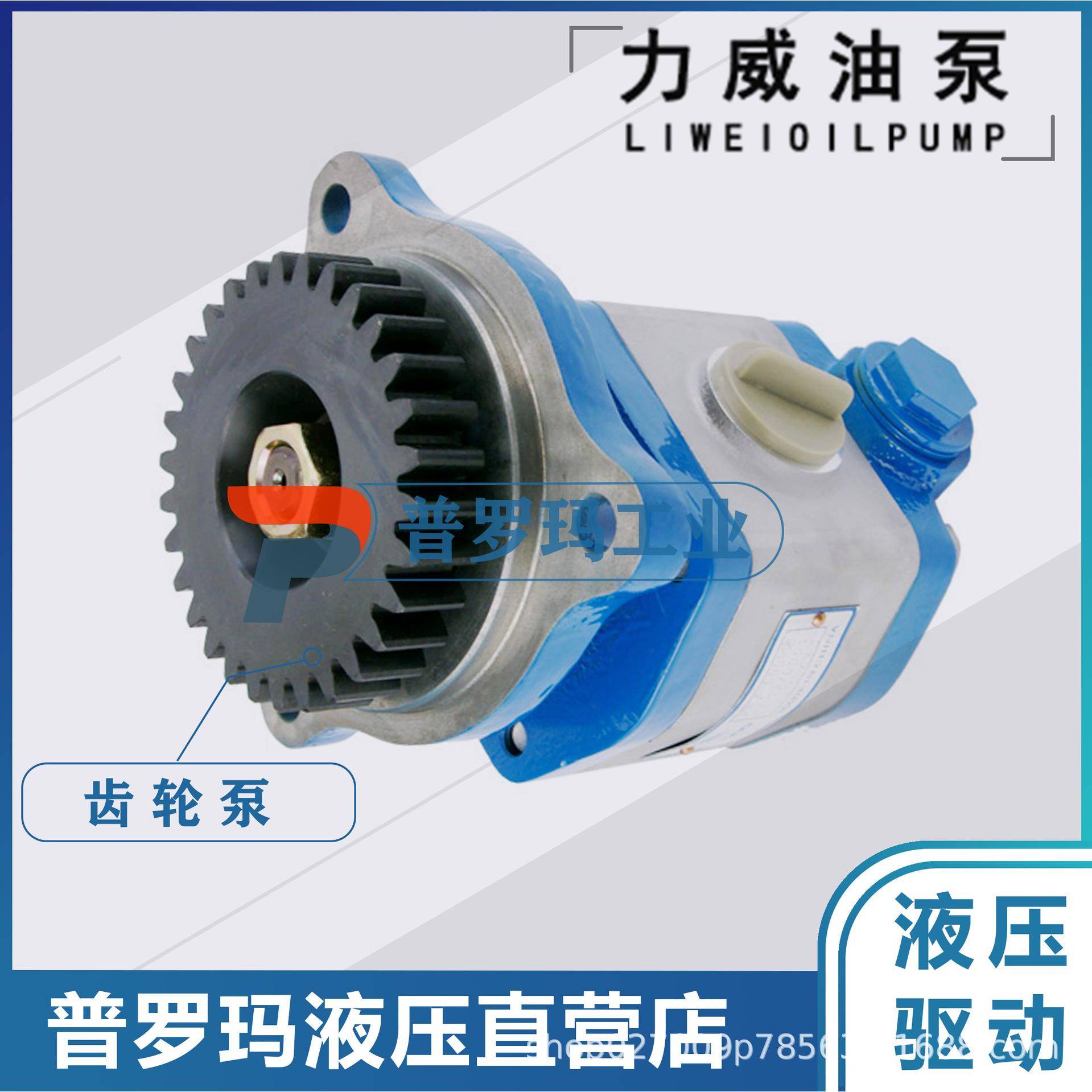 合肥力威汽车转向动力油泵液压泵QC22/16-D10WX