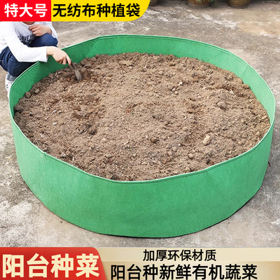 种植箱特大阳台楼顶种菜神器花盆