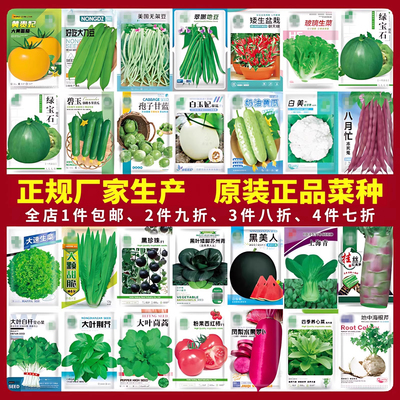 蔬菜种子香菜番茄四季播种孑大全
