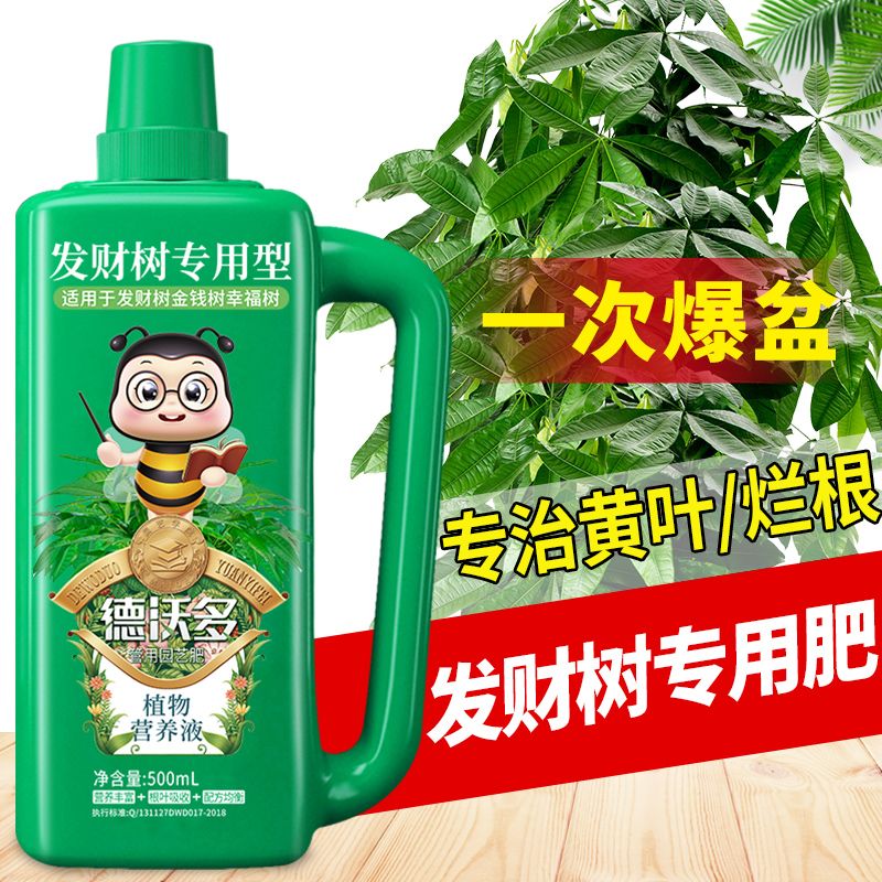 发财树营养液专用肥治叶子发黄