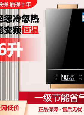 林内豹智能恒温天然气强排式天然
