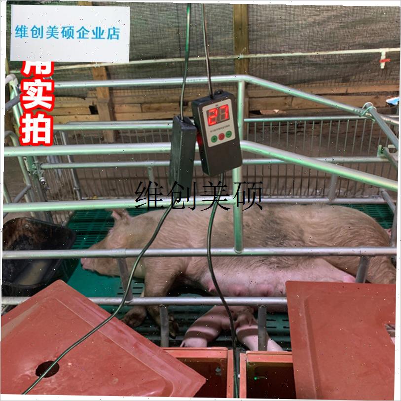 l猪用保温灯温控器小猪保温箱控制开G关取暖灯头芦丁鸡宠物爬宠灯