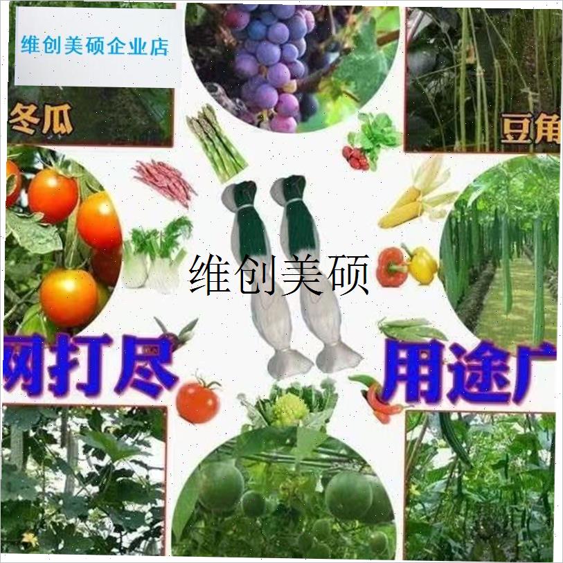 l植物爬藤网蔬菜瓜果豆q角黄瓜丝瓜辅助生长网攀爬网新料熟丝百香