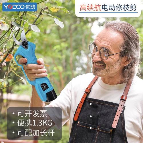 电动剪树枝剪刀果树充电式修枝剪园林锂电多功能一体式粗枝高枝剪