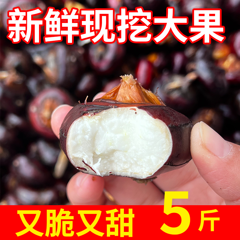 马蹄荸荠新鲜大果不带泥免洗蔬菜水果新鲜无为现挖现发5斤实惠装