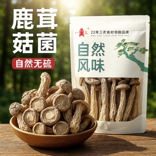 【八荒干货】净重干鹿茸菇干货蔍茸菇煲汤火锅食材鹿耳菇商用批发