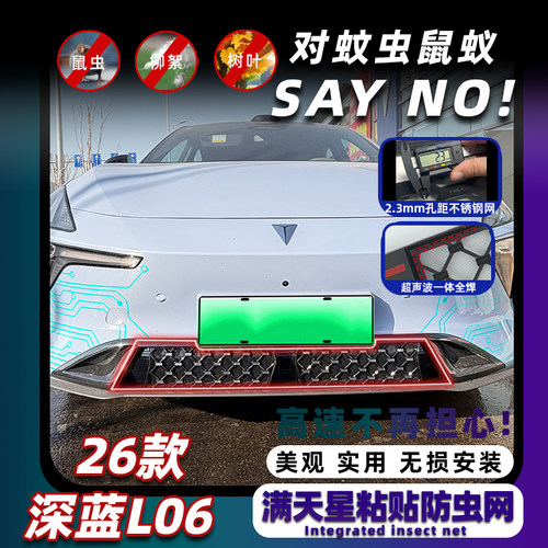 26款深蓝L06满天星防虫网