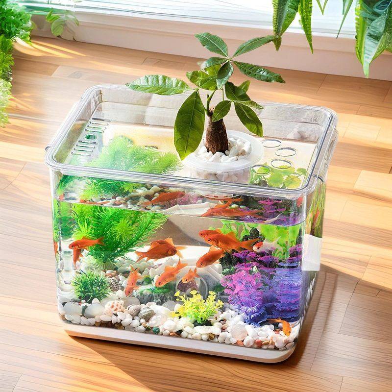 透明带盖乌龟缸养小鱼收纳箱水养植物容器创意鱼花共养造景储物箱,宠物/宠物食品及用品,桌面缸,淘宝优惠券,粉丝福利购,淘宝优惠卷