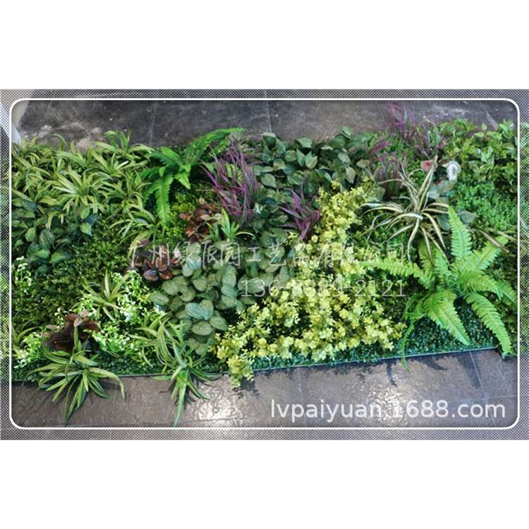 仿真绿植肾蕨帝王蕨装饰植蕨类物森系婚庆配材植物墙造景蕨叶摆件