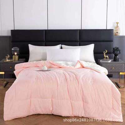 被大豆纤维被加厚秋棉被泡泡棉SEX被子保暖冬被单人春家用学生被